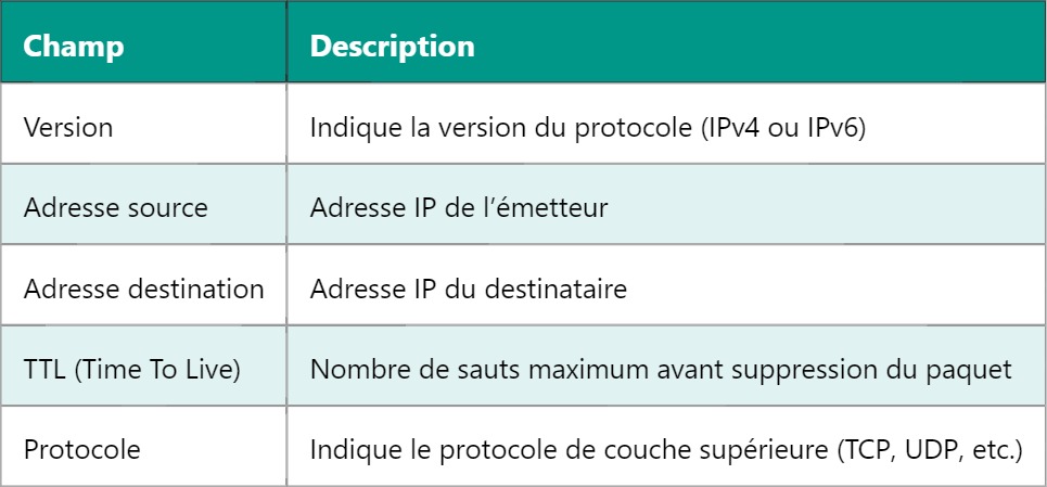 IP – Protocole Internet : Fondamentaux et Fonctionnement